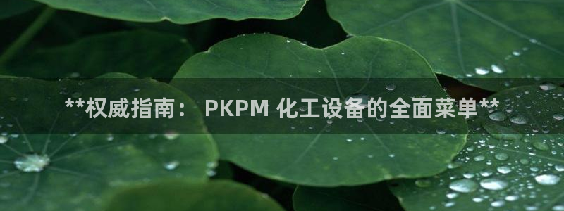 门徒平台型7O777：**权威指南： PKPM 化